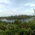 Gumbo Limbo - vidikovac